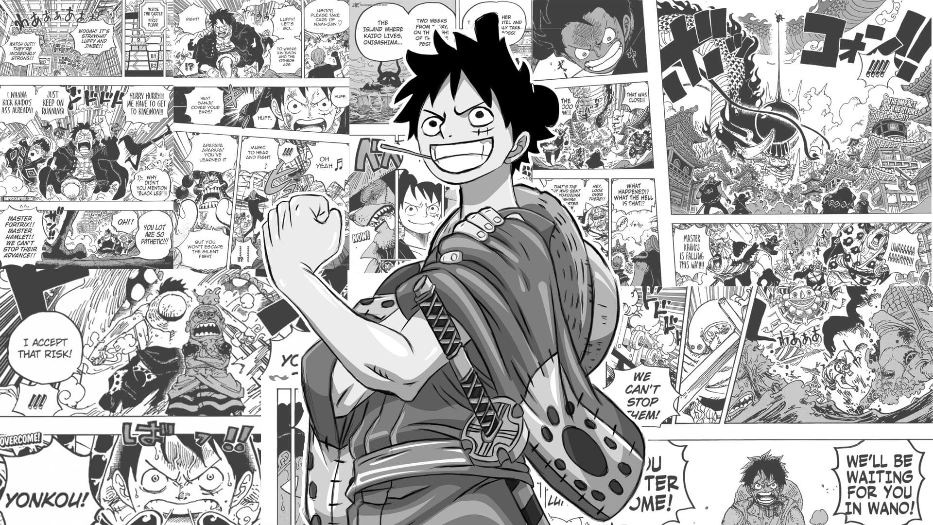 Monkey D. Luffy